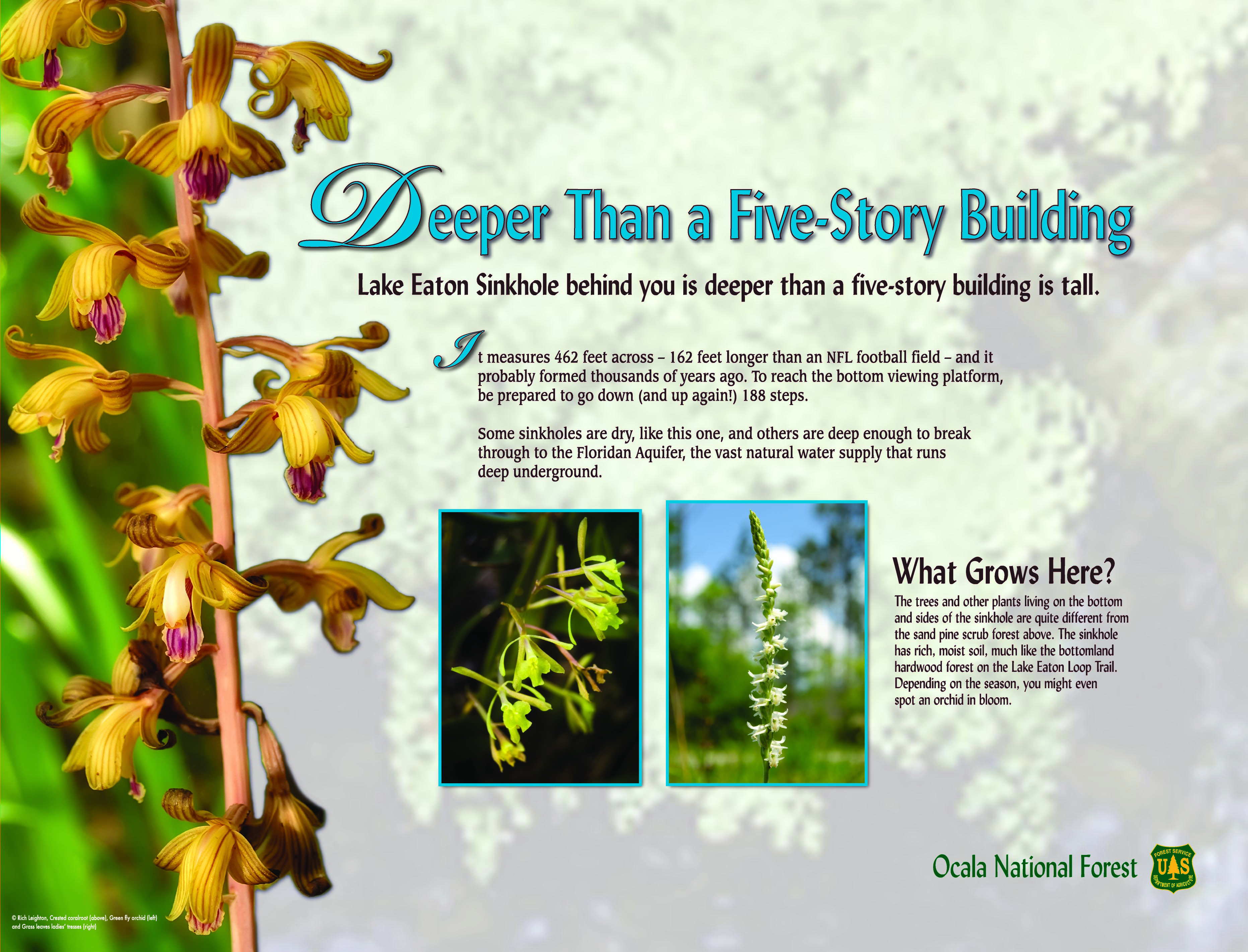 P15Deeper39_5 (2)