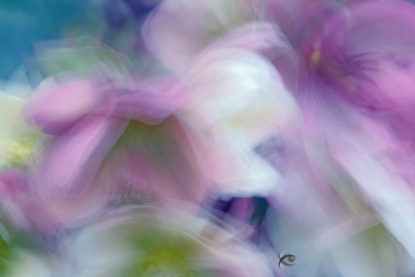 5 Impressionist Photo Techniques