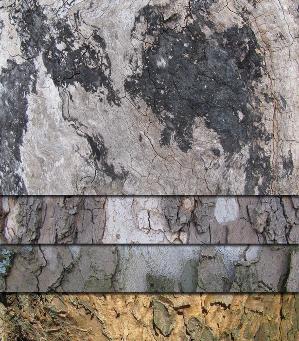 Free Bark Textures